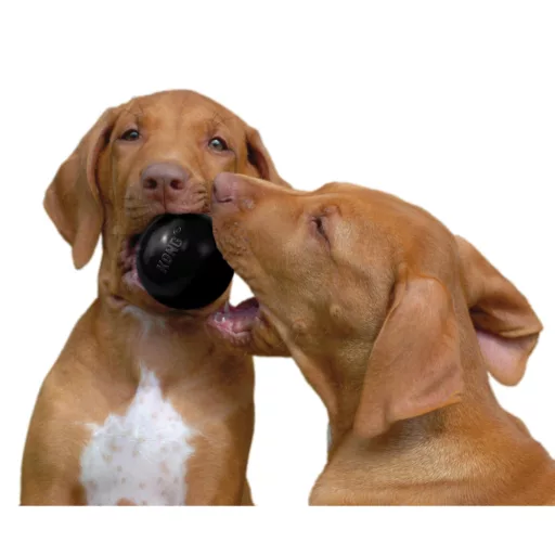 kong-extreme-ball-kutyajatek-min