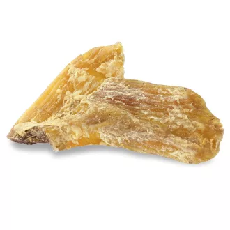 perro_premium_marha_in