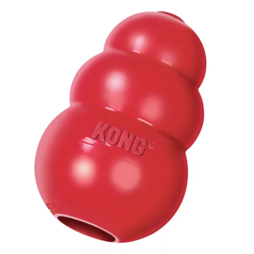 kong-classic-min