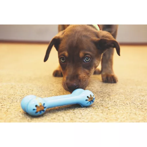 kong-puppy-goodie-bone-kutyajatek-rozsaszin-min