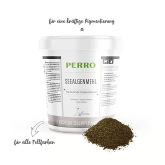 PERRO-barna-alga